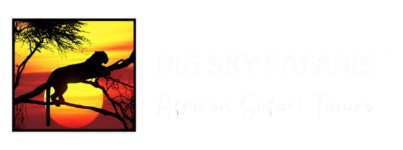 Big Sky Safaris